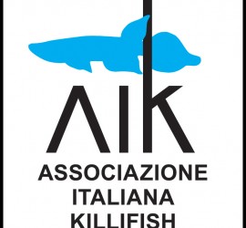 LOGO AIK