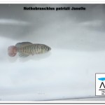 IMG_9145