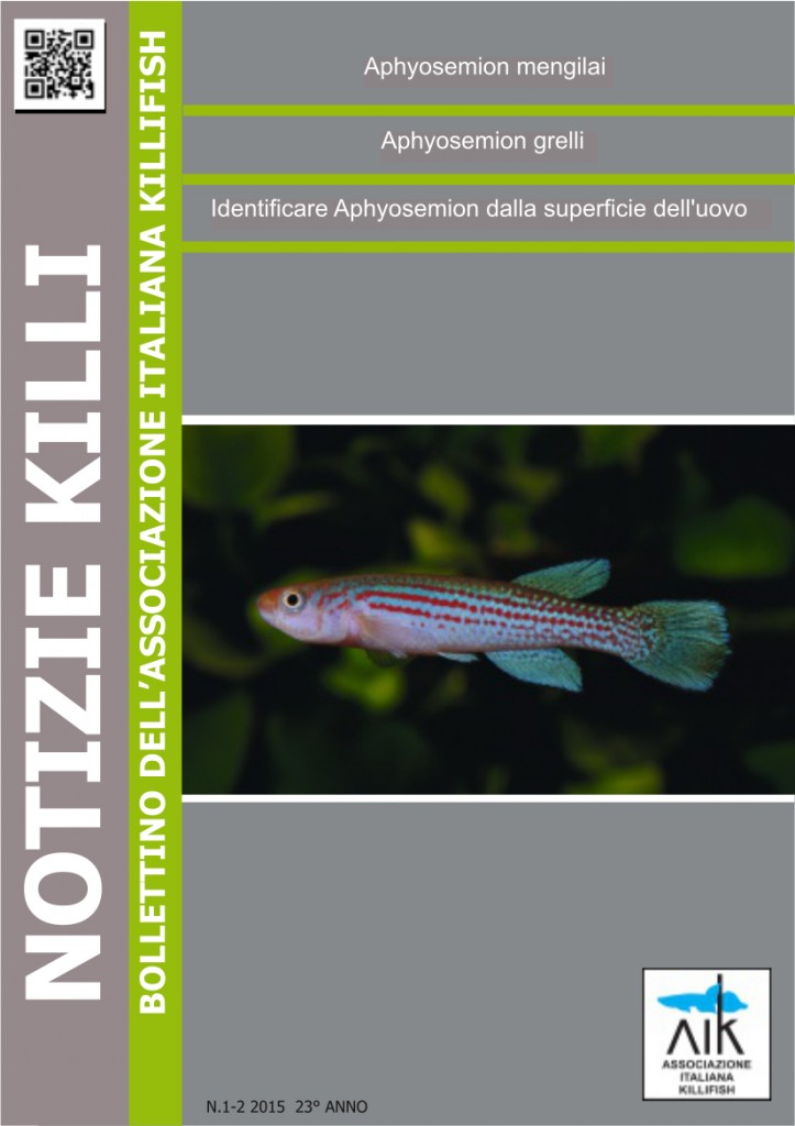 bollettino 1-2 2015