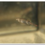 IMG_0761