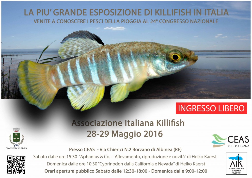 Volantino 2016 AIK compress